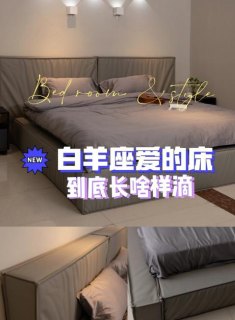 白羊座房间真的很乱吗为什么