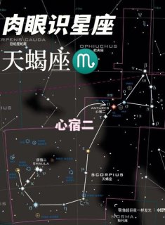 天蝎座在所有星座中特别吗