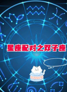 6月双子座是风向星座吗