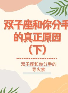 双子座和双子座之间有缘吗