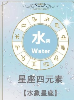 水瓶座的水象星座一样吗