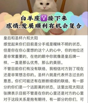 白羊座的人不肯复合吗为什么