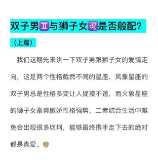 狮子座宠爱双子座吗