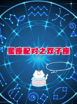 双子座 风象星座吗