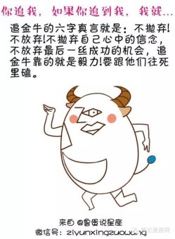 金牛座是搞笑男么吗