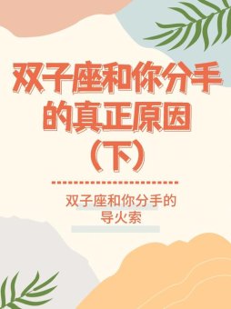 双子座会成为真正的学神吗