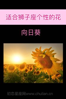 狮子座喜欢鲜花吗男生