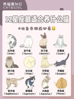 天秤座不能养的猫咪吗女生