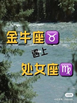 金牛男能听从处女座吗