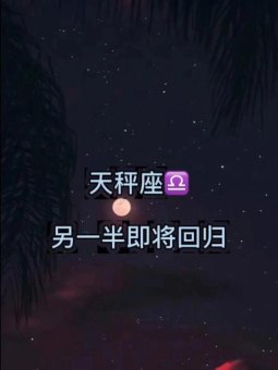 天秤座对另一半要求多吗