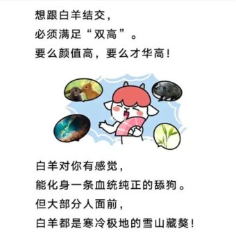 白羊座可能是舔狗吗