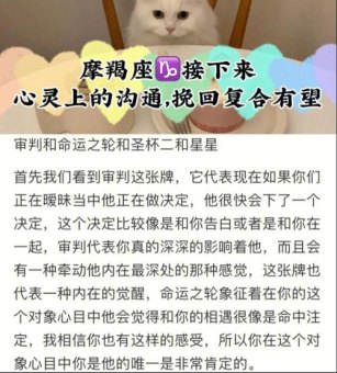 摩羯座不太会沟通吗为什么