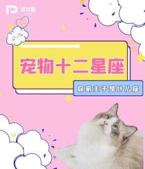 白羊座是狗吗还是猫呢