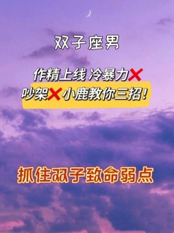 双子座打架战斗力强吗女生