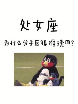 处女座提分手会难过吗