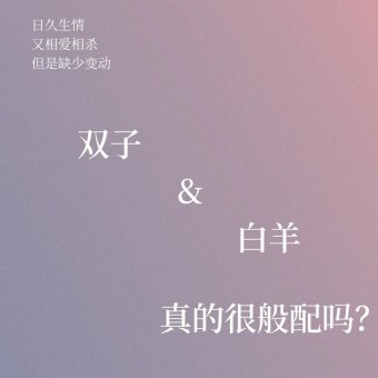 白羊座和双子座搭档合适吗