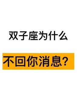 双子座都不爱回信息吗